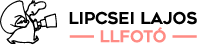 Lipcsei Lajos Logo